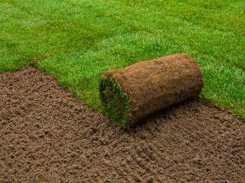 Een nieuw gazon aanleggen met graszoden: zo pak je het goed aan