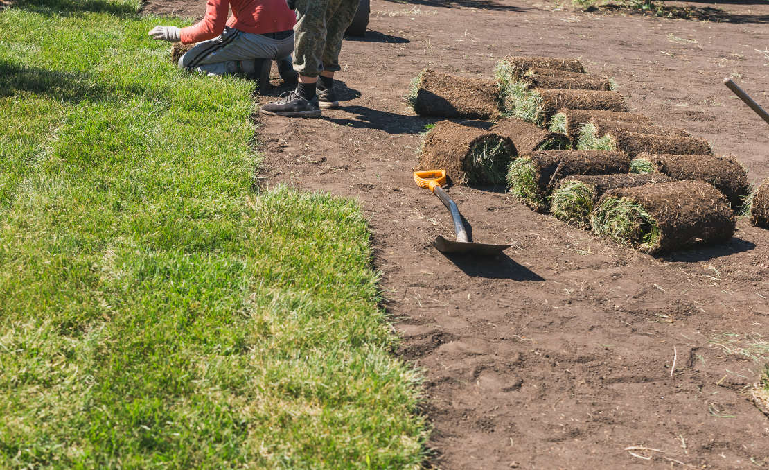 Voorbereiding op een baan als hovenier: opleiding en cv
