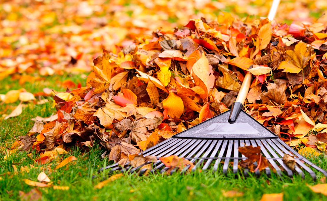 Bladeren opruimen