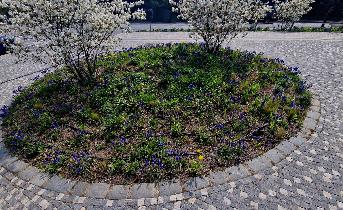Bloemenperk met automatische beregening