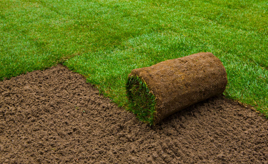 Gazon aanleggen met graszoden