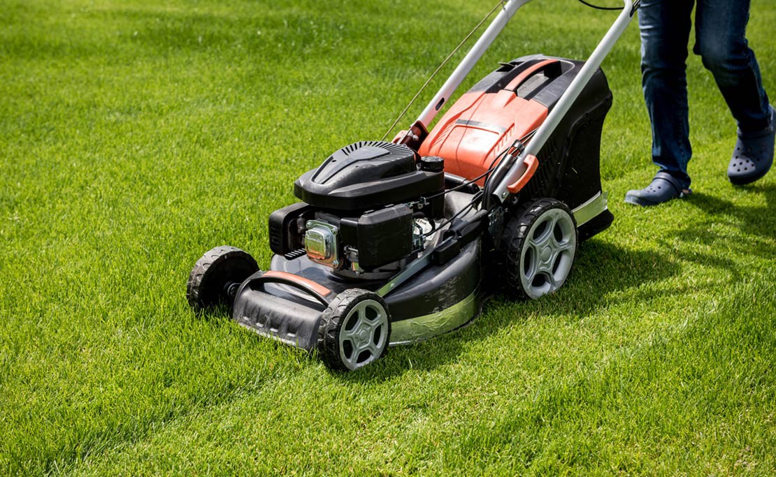 Gazon onderhoud