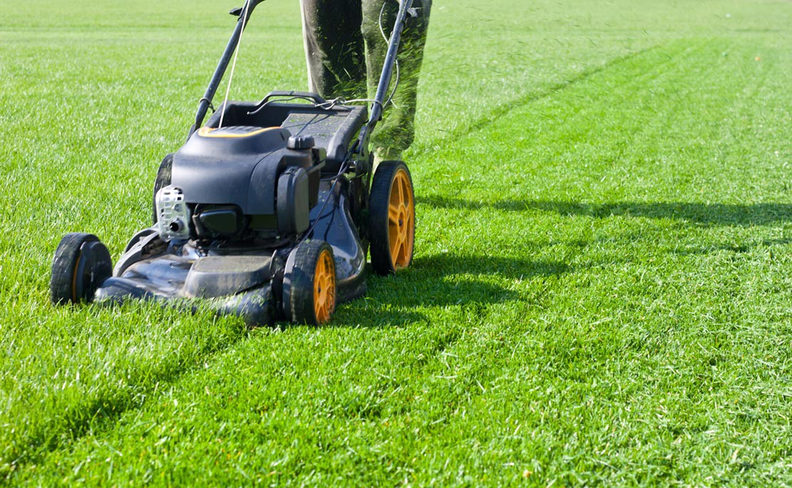 Gras Maaien | Wanneer & Hoe Vaak Grasmaaien | Hovenier.nl