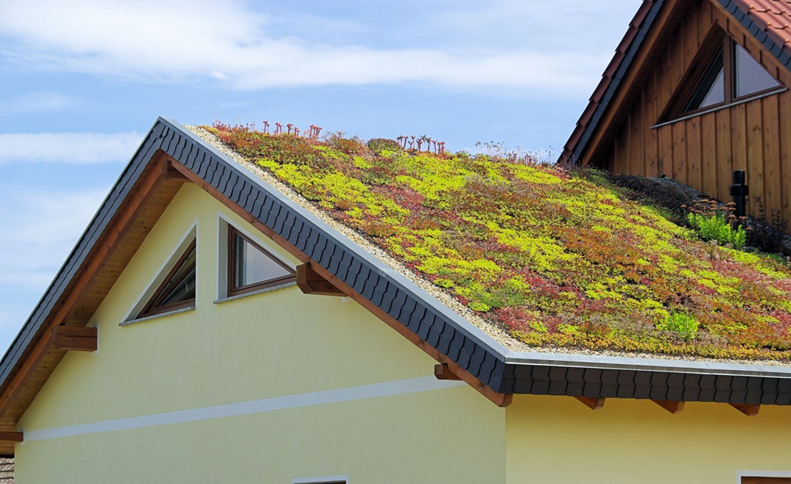 Kosten groendak aanleggen