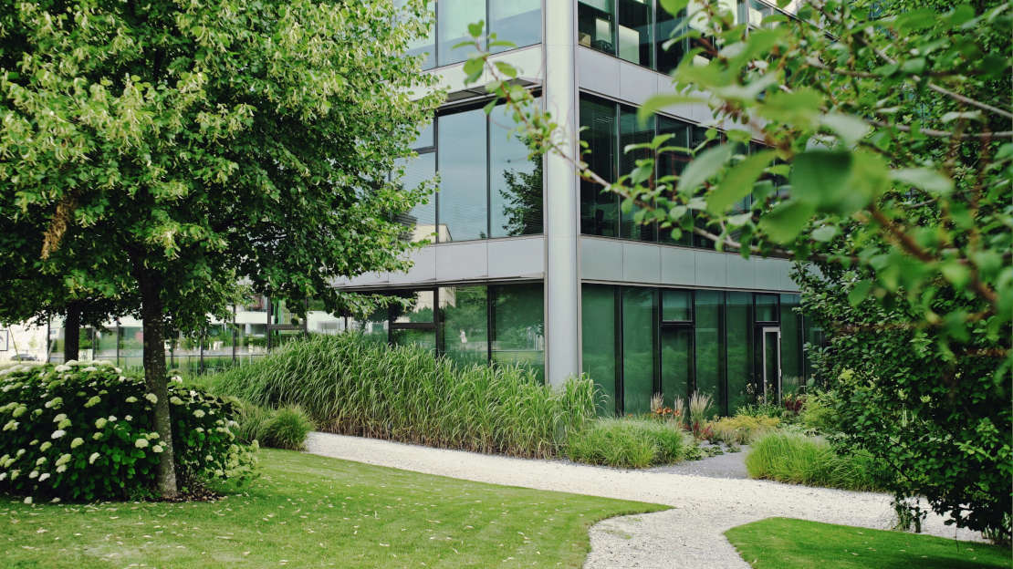 Hoe je voor meer groen bij je bedrijfspand kunt zorgen