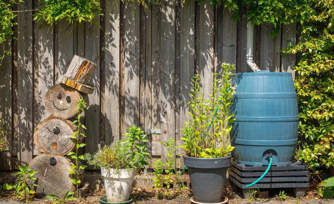 Regenwater in de tuin