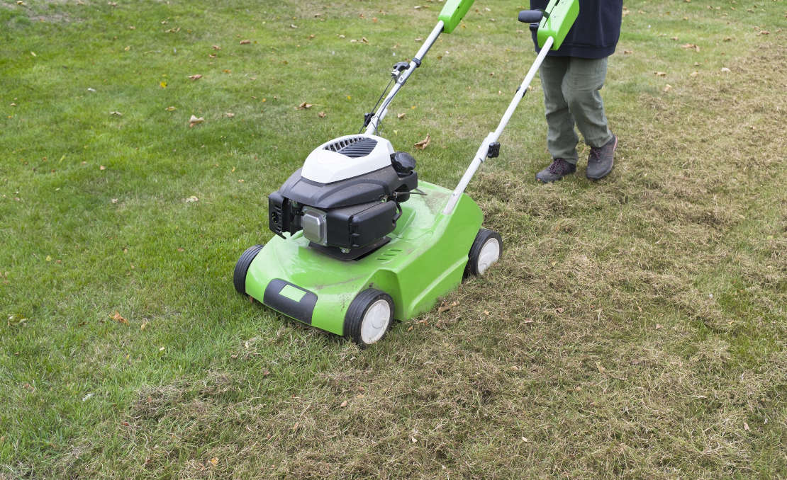 Tuinonderhoud in april