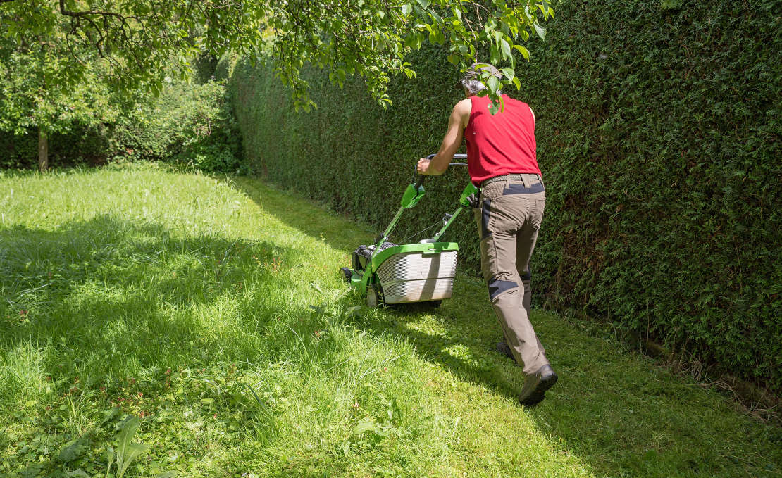 Tuinonderhoud in juni