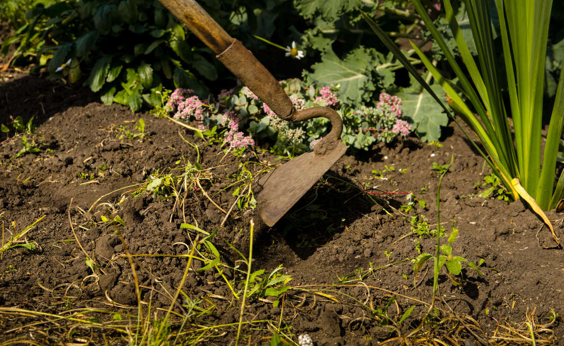 Tuinonderhoud in mei