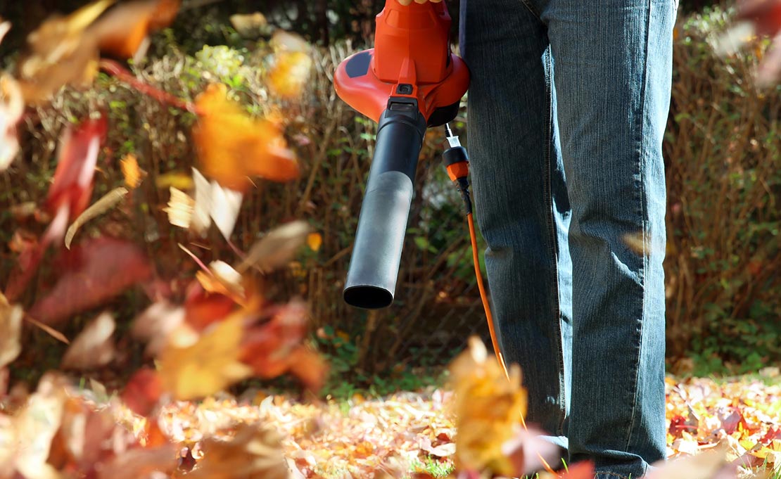 Tuinonderhoud in november