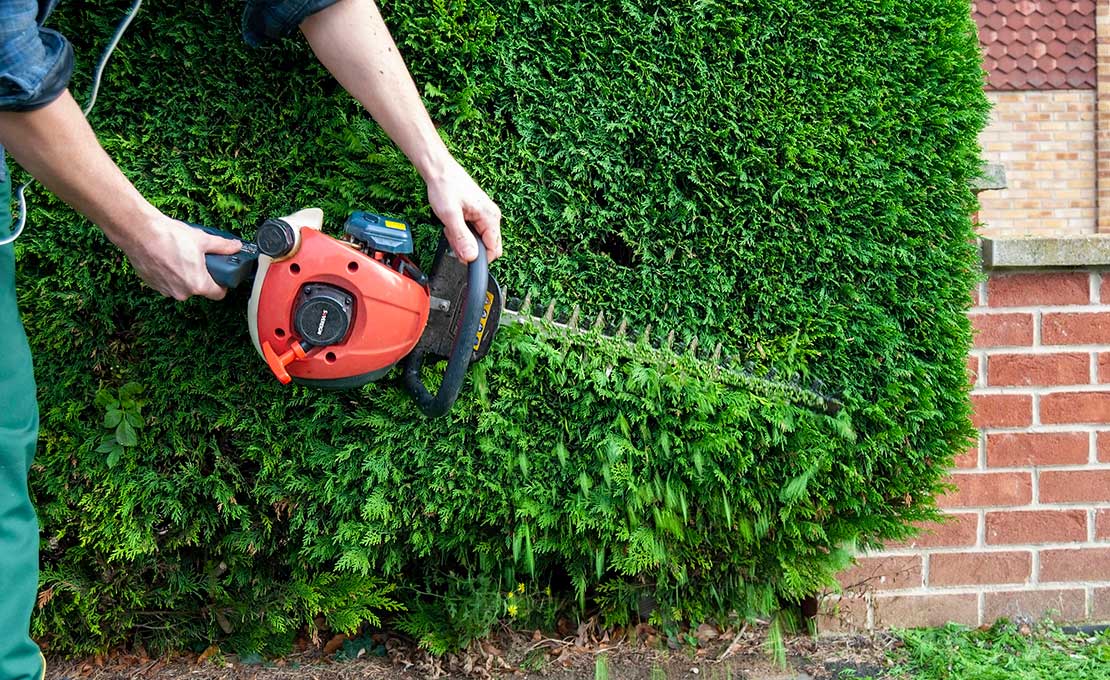 Tuinonderhoud in september