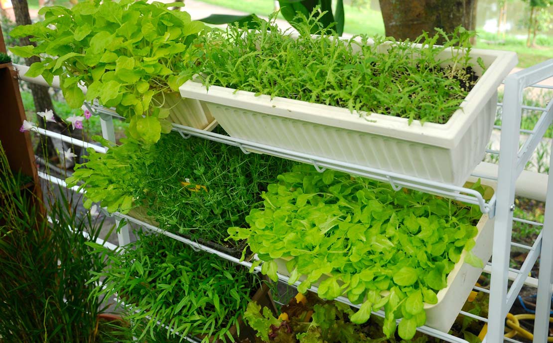 Verticale kruidentuin