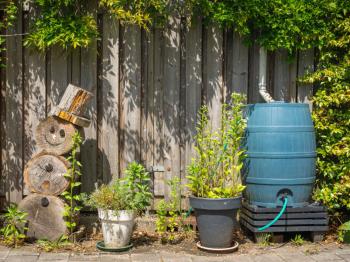 Slim omgaan met regenwater in de tuin