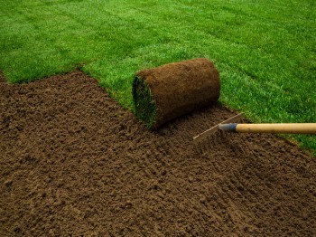 Gazon aanleggen