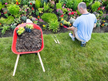 Tuinman gezocht