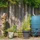 Slim omgaan met regenwater in de tuin