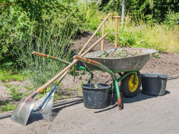De meest gemaakte fouten bij tuinonderhoud
